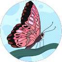 Mrudula Arolkar profile picture